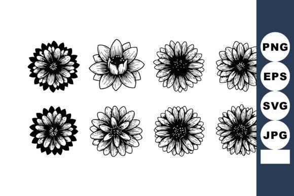 Black and White Hand Drawn Decorative Flowers: A Designer’s Perspective