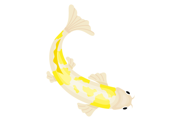 Japanese Garden Fish: A Versatile Graphic for Illustration Lovers